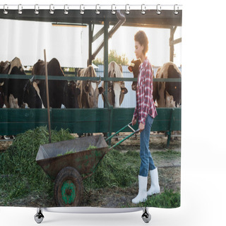 Personality  Side View Of African American Farmer With Wheelbarrow Near Hay And Cowshed Shower Curtains