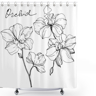 Personality  Vector Monochrome Orchids With Orchid Lettering Isolated On White. Engraved Ink Art. Shower Curtains