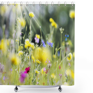 Personality  Colorful Flower Meadow In Summer Shower Curtains