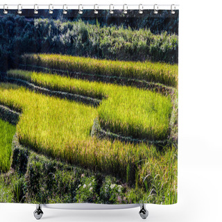 Personality  Landscape View Of Rice Fields In Mu Cang Chai District, VIetnam Shower Curtains