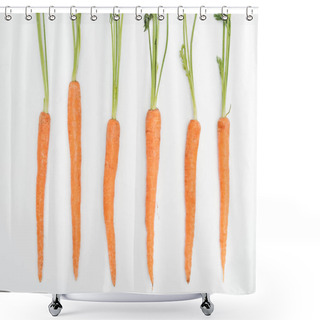 Personality  Top View Of Fresh Ripe Raw Whole Carrots Arranged In Row Isolated On White Shower Curtains