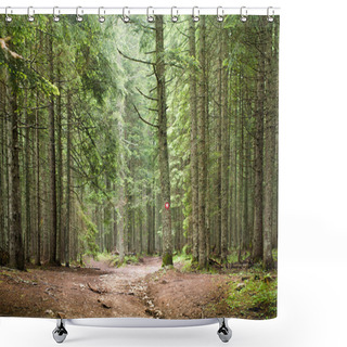 Personality   Spruce Tree Forest Shower Curtains