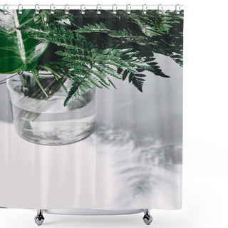 Personality  Close-up Shot Of Bunch Of Various Green Leaves In Glass Vase On White Shower Curtains