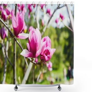 Personality  Magnolia Pink Flowers At Sunny Day   On Background Shower Curtains