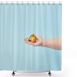 Personality  Cropped View Of Woman Holding Tasty Tangerine With Green Leaves In Hand Isolated On Blue  Shower Curtains