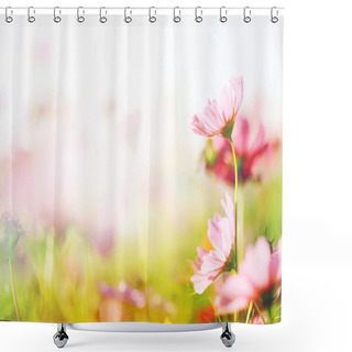 Personality  Beautiful Pink And Colorful Pastel Flowers Field, Lovely Cosmos In Nature In Sunny Day Shower Curtains