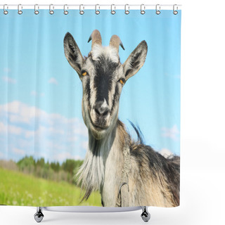 Personality  Goat Shower Curtains