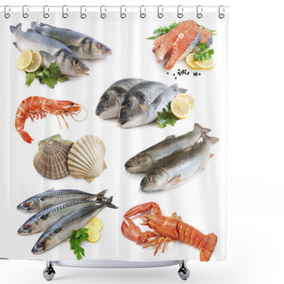Personality  Fish Collection Shower Curtains
