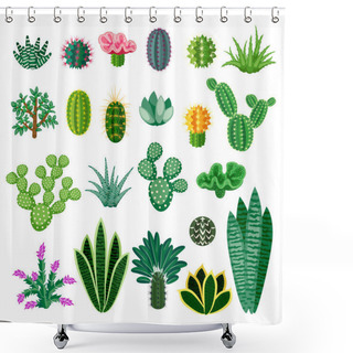 Personality  Cactus And Succulents. Shower Curtains