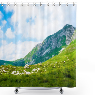Personality  Landscape Of Mountains And Valley In Durmitor Massif, Montenegro Shower Curtains