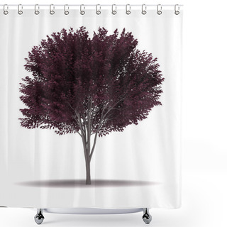 Personality  Single Cherry Blossom Plum Tree Shower Curtains