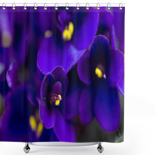 Personality  Dark Purple African Violets Shower Curtains