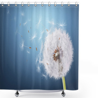 Personality  Dandelion Flying On Blue Background Shower Curtains