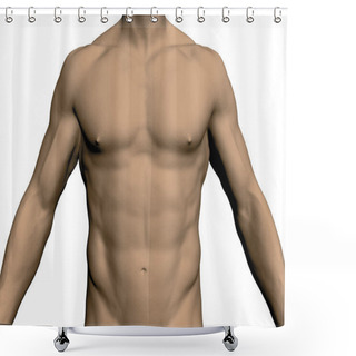 Personality  Nude Male Torso. Front View. Without Head And Legs. Realistic Human Body. Athletic Male. Muscular Arms And Chest. Vector Illustration. Shower Curtains