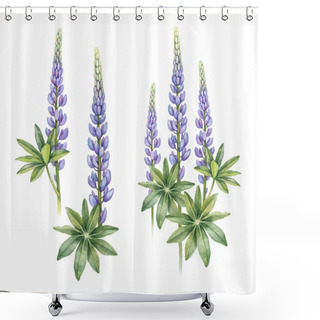 Personality  Wild Lupine Flowers Shower Curtains