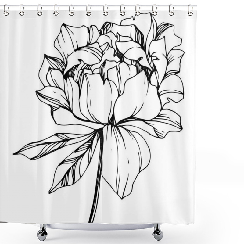 Personality  Vector isolated monochrome peony flower sketch on white background. Engraved ink art.  shower curtains