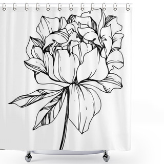 Personality  Vector Isolated Monochrome Peony Flower Sketch On White Background. Engraved Ink Art.  Shower Curtains