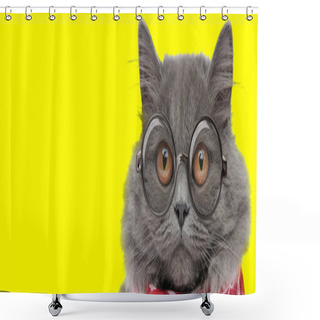 Personality  Suspicious English Long Hair Cat Wearing Glasses And Red Bandana On Yellow Background Shower Curtains