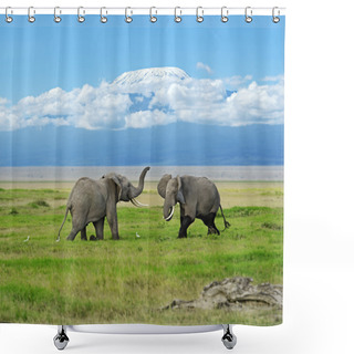 Personality  Amboseli National Park  Shower Curtains