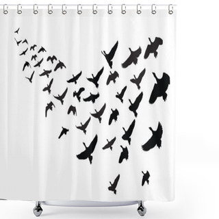 Personality  Geese In Formation Flight Shower Curtains
