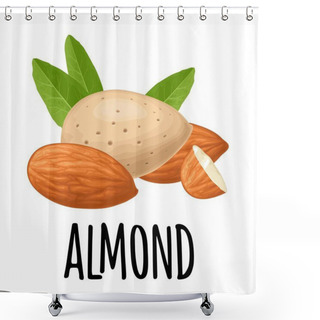Personality  Handwriting Lettering Almond. Set Whole And Half Nut Seed With Green Leaves. Vector Color Realistic Illustration. Isolated On White Background. Shower Curtains
