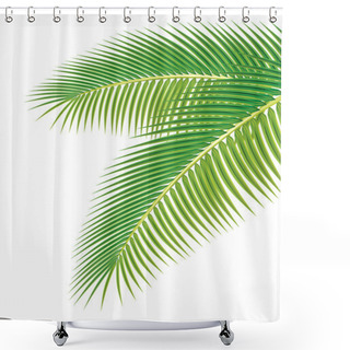 Personality  Leaves Of Palm Tree On White Background. Vector Illustration. Shower Curtains