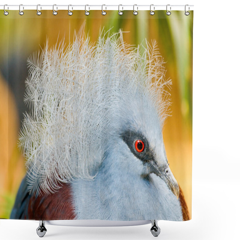 Personality  Common Crowned Pigeon Shower Curtains