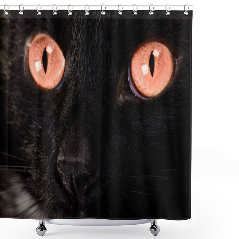Personality  Beautiful Cat Face Close Up Shower Curtains