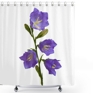 Personality  Bell Flower Shower Curtains