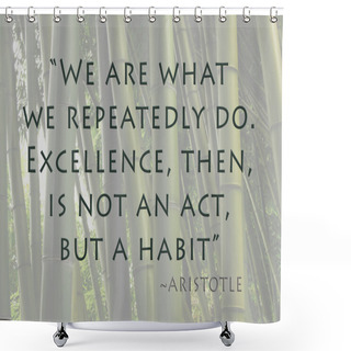 Personality  Excellence Is Habit Shower Curtains