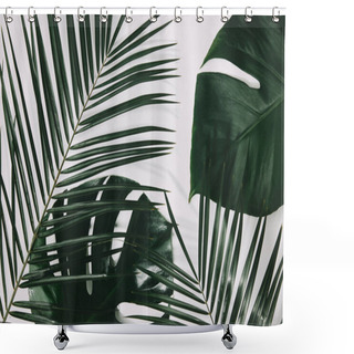 Personality  Green Palm And Monstera Leaves On White Surface Shower Curtains