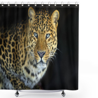 Personality  Leopard Shower Curtains