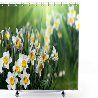 Personality  Narcissus Shower Curtains