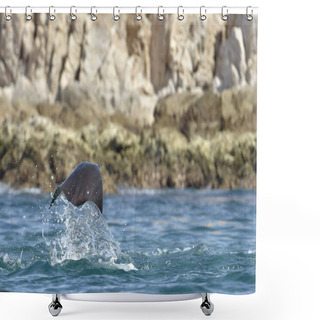 Personality  Mobula Ray Jumping Out Of Water Shower Curtains