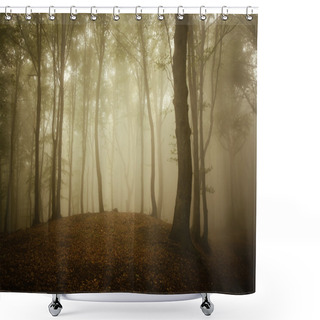 Personality  Old Trees In Dark Forest Shower Curtains