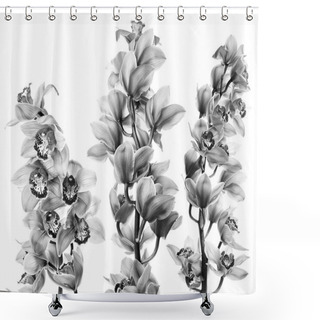 Personality  Beautiful Orchid Flowers Shower Curtains