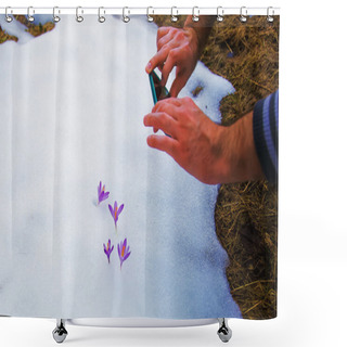 Personality  Phone Taking Pictures Of Flowers Of Spring. Crocuses In Snow Shower Curtains