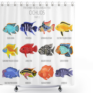 Personality  Cichlids Fish. Freshwater Aquarium Fish Icon Set Flat Style Isolated On White.  Vector Illustration Shower Curtains