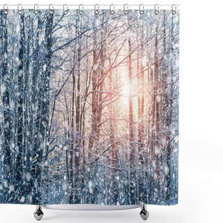 Personality  Trees Covered With Snow In The Forest In Winter Shower Curtains