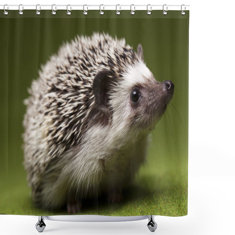 Personality  Hedgehog shower curtains