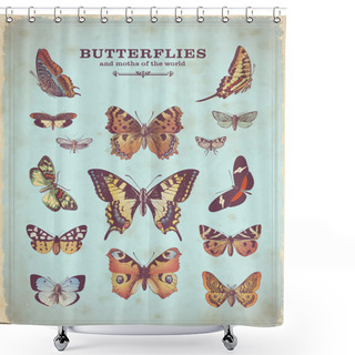 Personality  Vintage Colorful Butterfly Illustrations Shower Curtains