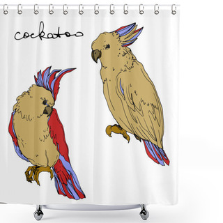 Personality  Vector Sky Bird Cockatoo In A Wildlife Isolated. Black And White Engraved Ink Art. Isolated Parrot Illustration Element. Shower Curtains