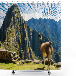 Personality  Llama Machu Picchu Ruins Shower Curtains
