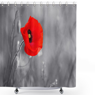 Personality  Red Poppy Flower Shower Curtains