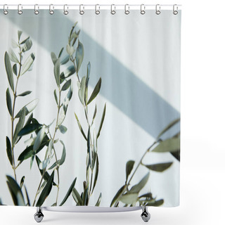 Personality  Olive Branches In Front Of White Wall With Shadow  Shower Curtains