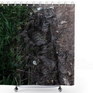 Personality  Footprints On Dirty Ground With Mud Near Green Grass  Shower Curtains