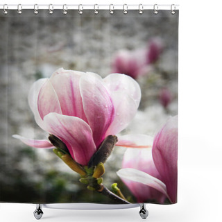Personality  Magnolia Bloom Shower Curtains
