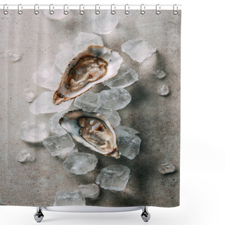 Personality  Top View Of Oysters And Ice Cubes On Grey Tabletop Shower Curtains