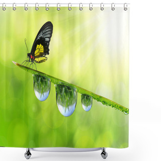 Personality  Dew And Butterfly Shower Curtains