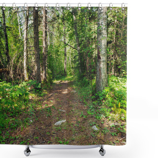 Personality  A Beautiful Footpath On The Baldy Mountain Hiking Trail In Duck Mountain Provincial Park, Manitoba, Canada Shower Curtains